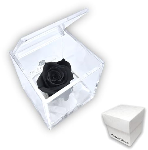 Stabilisierte Rose Schwarz Duftende Immerwährende Rose, Geschenk für Frauen und Muttertagsgeschenk, Hochzeitsgeschenk, Geburtstag, Konfirmation, Taufe Geschenke für die Freundin (Schwarz, A 1067)