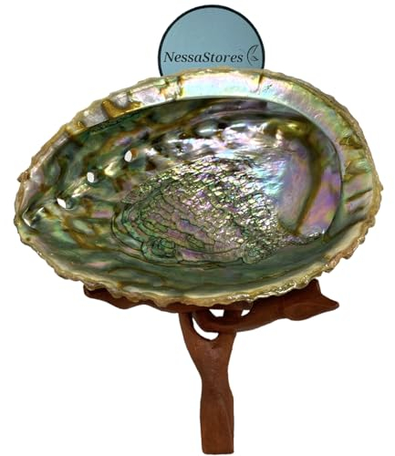NessaStores 2 pezzi | Conchiglia di abalone da 15,2 a 17,8 cm e treppiede da 15,2 cm | Bella ciotola naturale per sbavature, bastoncini di incenso e un kit per sbavature di salvia JC-213-B