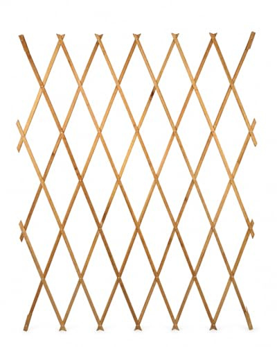 HERSIG - Celosias para Terraza Exterior - Celosia Madera Miel (180x120cm) - Celosia Terraza - Decoracion Jardin Exterior - Celosias Decorativas Resistentes
