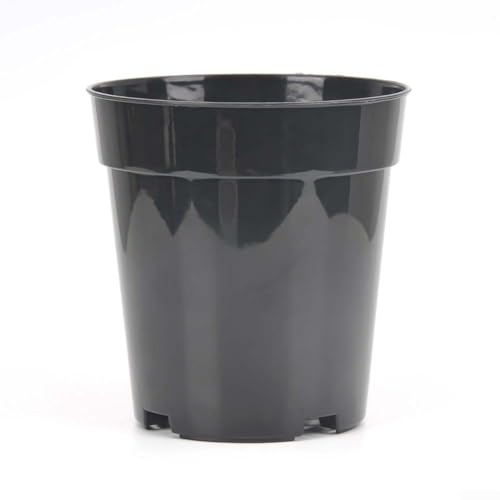 FACAIIO Juego de 10 macetas de plástico transparente para aplicaciones de plantación, para suculentas y hierbas (4 pulgadas)