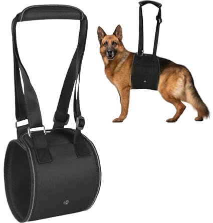 Tragehilfe Hund, Hundefreundliches blaues Design mit Verstellbarer tragegurt Hund, die behinderten und älteren Hunden beim Spazierengehen sicheren Halt bietet, treppenhilfe für Hunde (M)