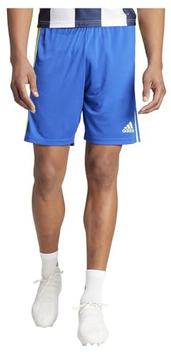 adidas Herren Squadra 21 Shorts, Team royal Blue/Team solar Yellow/Team royal Blue, XL