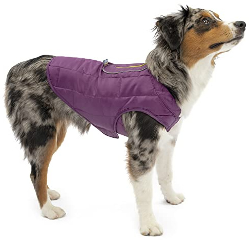Kurgo Loft Hundejacke, Mit Hundegeschirr kombinierbar, Wasserdicht und reflektierend, Ideal für den Winter, Größe XS, Grau/Lila