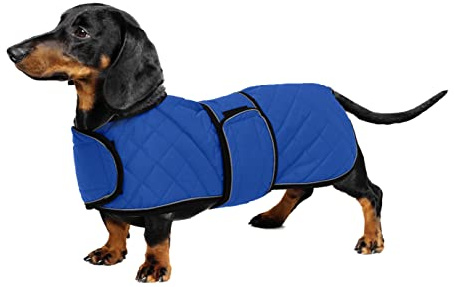 Geyecete - Warmer wintermantel für dackel Hunde,Hunde winterjacken mit plüschfutter,Outdoor jacken mit verstellbaren gürtel und Kabelbaumloch ,für mittelgroße und Kleiner dackel-Blau-M