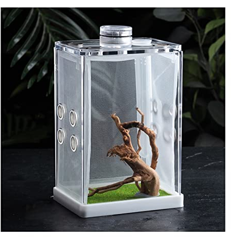 XUEHONG001 Acryl Reptilienzuchtbox, Transparent Reptile Habitat Terrarium Mit Kletternetz, Haustierzuchtfall Für Spinne Singwurm Grille Gottesanbeterin Skorpion Tausendfüßler