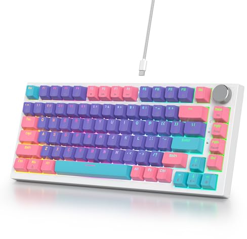 SOLIDEE Verkabelte Mechanische Gaming Tastatur 75%,hot-swap-fähige mechanische Tastatur Gasket,RGB Hintergrundbeleuchtung,QWERTY 82 Tasten TKL Gaming Tastatur,NKRO Tastatur mit Drehknopf(82 Purple)