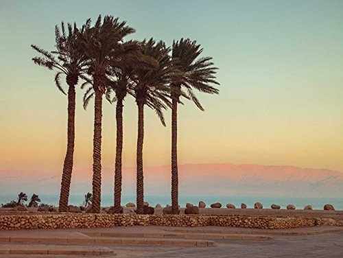 Feeling at home LIENZO-CON-AMERICANO-BOX-Palm-arboles-en-playa-de-mar muerto,-Israel-Frank-Assaf-Costa-Fine-Art-impresión-en madera-marco-Horizontal-24x32_in