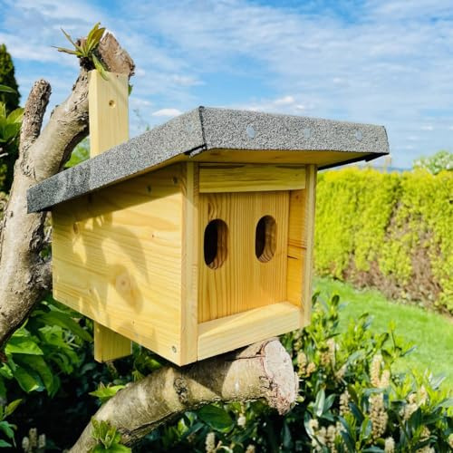 DARLUX Nistkasten mit Marderschutz für Hausrotschwanz und Rotkehlchen I Holz Fichte und Lärche I wetterfest I 2,8kg Produziert von Werkstätten für behinderte Menschen I nach NABU gefertigt