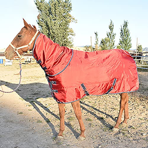 BNALU Abschwitzdecke fürs Pferd ist atmungsaktiv Transportdecke Weidedecke Winterdecke Winterbaumwolle Weich und warm Reitausrüstung Outdoordecke (Size:165cm,Color:Rot)
