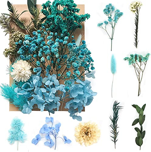 Colexy Flores Secas Naturales en Relieve, Flores Preservadas Resina Epoxi Joyería Hojas Secas Mixtas para Arte de Uñas DIY Decoración Tarjetas álbumes de Recortes Vela Artesanía (Azul)