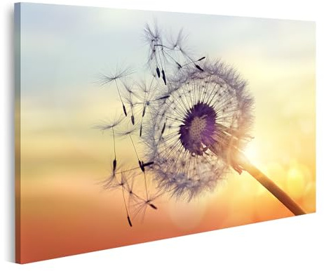 islandburner Bild auf Leinwand Pusteblume im Sonnenuntergang am Horizont mit weichen Farben Bilder Wandbilder Poster