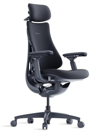 LiberNovo Ergonomischer Bürostuhl, Bürostuhl Ergonomisch, Schwarz 48cm | Verstellbar mit adaptiver Lendenwirbelstütze, 160° Neigungswinkel und integrierter Wirbelsäulendehnung, Schreibtischstuhl