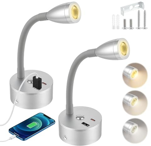 Eirolace 2 Stück LED Leselampe Wohnmobil Dimmbare Wandleuchte, Flexible Schwanenhals Wandlampe, 12V Nachttischlampe mit USB + Type-C -Ladeanschluss, für Wohnmobil Boot Wohnwagen Van LKW Yacht