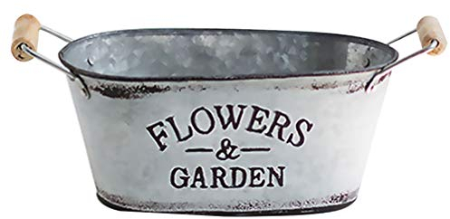 VOSAREA Pot De Fleurs Vintage Seau Décoratif Européen pour Plantes Succulentes pour Balcon Bureau Et Décoration Intérieure