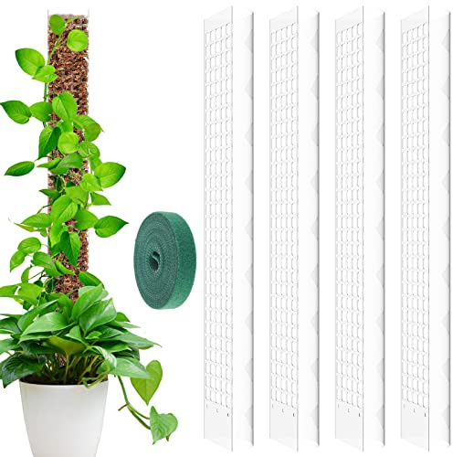 willkey 4PCS 24 Inch Plastic Moss Poles for Botany Monstera Reusable Semi-cylindrical Sphagnum Moss Poles Hollow Self Watering Botany Support Stick for Climbing Botany Stakes Indoor Botany