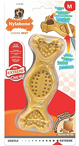 Nylabone 984720EU Hundeknochen zum Füllen mit Leckereien, Erdnussbutter-Geschmack - Kauknochen für stark kauende Hunde für Hunde bis 16 kg
