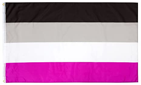Bandiera dell’orgoglio asessuale 90x150 cm con occhielli in ottone - Bandiera LGBTQ resistente alle intemperie per asta della bandiera - 100% poliestere