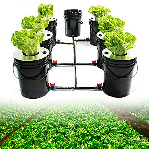 SHZICMY Hydroponic Grow System Indoor Hydroponisches Anzuchtsystem Erdlose Anbau Hydroponische Hydroponic Grow System Kit 5 Gallon 7 Bucket Kit Deep Water Culture Hydroponic DWC System