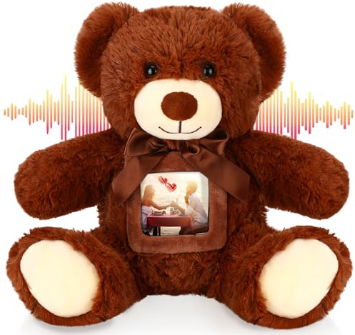 Libima 14 Inch Bear Stuffed Animal with Voice Recorder Frame, Dark Brown