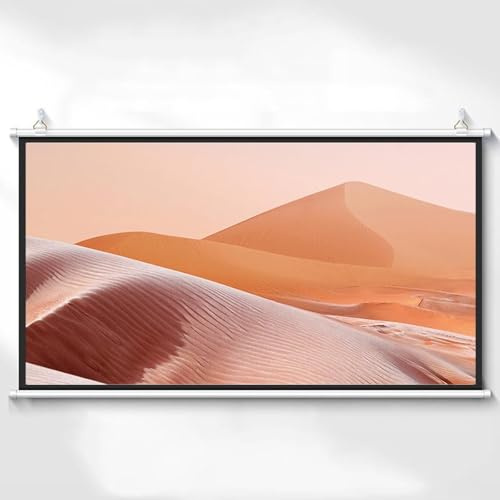 Pull Down Projector Screen, Manual Pull Down Projection Screen,White HD Pull Down Projector Screen,Wall & Ceiling Mount Projection Screen(0.16875,40)