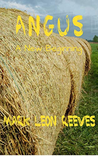 Angus: A New Beginning (The Angus McGuire Series Book 3)