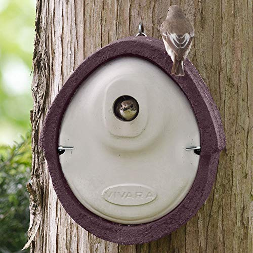 CJ Wildlife Nistkasten – wetterfest mit Marderschutz – Vogelnistkasten für Meisen, Sperlinge und Kleiber – Woodstone Holzbeton braun – 32 mm Einflugöffnung