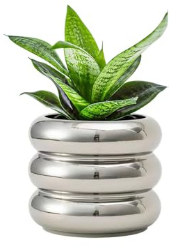 SANDYBAYTAS Keramik-Blumentopf für den Innenbereich, 11,9 cm (4,7 Zoll) mit Ablaufloch, Keramik-Blumentopf mit kl, zur Dekoration von Zuhause und Büro (Silber)