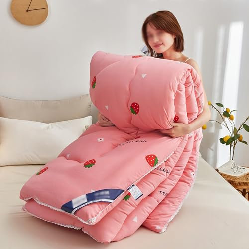 TEPPOIC Winter Duvet, Washed Cotton Quilt/Duvet, Down Alternative for All Seasons, Warm and Soft, Machine Washable (H,180 * 220cm/4kg)