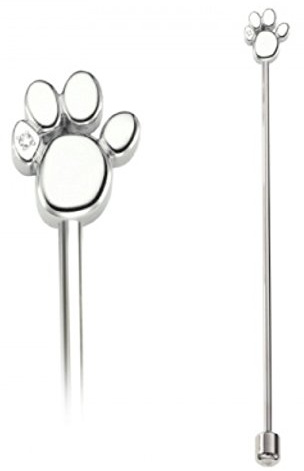 Pfote Nano Magnet TCM Wasserstab Energetix 4you 1449 Magnetix Powerstab 19 cm mit Swarovski Kristall