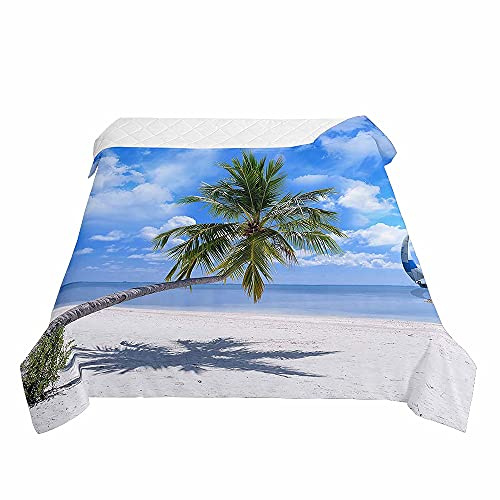 Surwin Tagesdecke Bettüberwurf Steppdecke für Doppelbett Einzelbett, Mikrofaser Wattiert Gesteppt Bettdecke Sommer Dünne Tagesdecken mit Ultraschall genäht - 3D Meer Druck (Blauer Himmel,230x260cm)