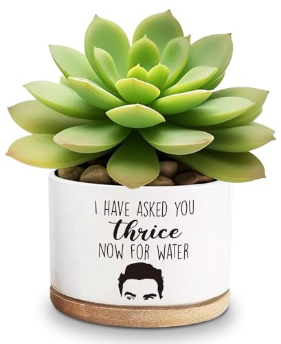 Lasimfa Fioriera in ceramica con scritta I Have Asked You Thrice Now for Water Succulente, per cactus, divertenti vasi da fiori per gli amanti delle piante, per compleanno, Natale, 9,1 cm (pianta