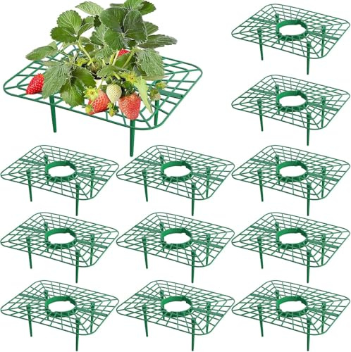 GIONAR 12 Stück Erdbeerstützen Ständer - Erdbeerregal - Balkon Erdbeernetze | Erdbeeren vor Staub und Schnecken schützen,schafft Sicherheitsabstand zum Boden