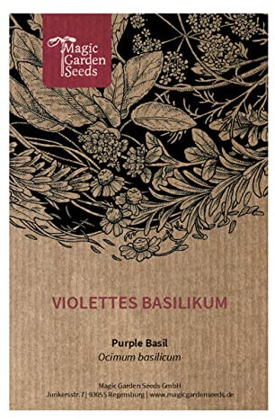 Basilico violetto (Ocimum basilicum) - circa 400 semi