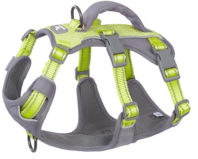 Huntboo Utrymningssäker Hundsele Medium, Anti-Trek Hundsele med Handtag, Andningsbar, Justerbar, Reflekterande Hundselar, Lättviktig Hundsele för Små och Stora Hundar Utomhus (Ljusgrön,S)
