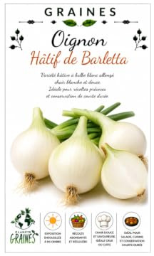 125 graines d'Oignon blanc extra-hâtif de Barletta - Oignon grelot -