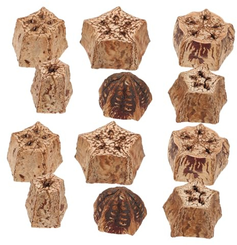 FUTUREORYY Juguetes Pájaros Naturales para Loros de Fruta Seca, Accesorios para Masticar y Triturar 12 Piezas Hogar de Mascotas