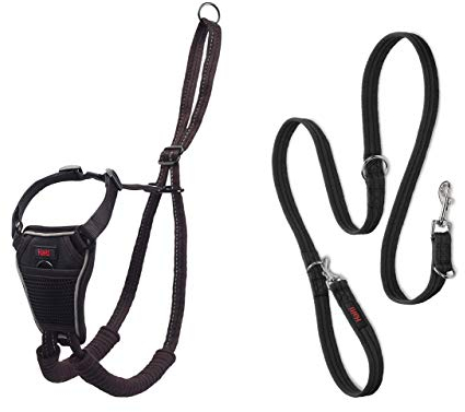 Halti No Pull Geschirr und Trainingsleine Kombi-Pack - Stop Dog Pulling on Walks mit Halti, Includes Medium No Pull Harness und Double Ended Lead