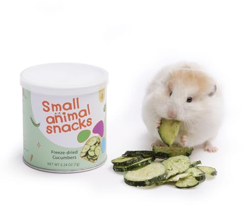 Niteangel Jouet de Goûter et de Collation pour Hamster - Goûter Naturel pour Petits Animaux pour Hamsters Nains, Hamsters Syriens, Hamsters Robo, Gerbilles, Souris, Lémmings, Dégus ou Autres Petits