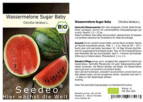Seedeo® Wassermelone Sugar Baby (Citrullus lanatus L.) 10 Samen BIO