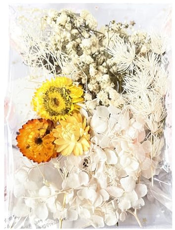 CJQRL Fiori Secchi Essiccati Decorativi Piccoli per Decorazioni per Resina Epossidica Bouquet Fiori Secchi Artigianato Scrapbooking Decorazioni Floreali (Bianco)