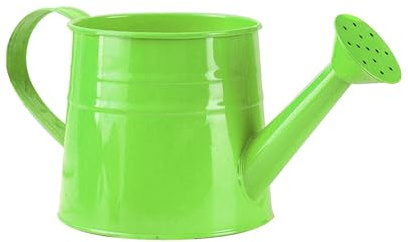 Gießkanne Klein 1L für den Zimmerpflanzen, Giesskanne aus Metall, Blumengießkanne Wasserkannen Pflanzengießkanne mit Brause Watering Can Gartengießkanne Gießkannen für Innen und Außen