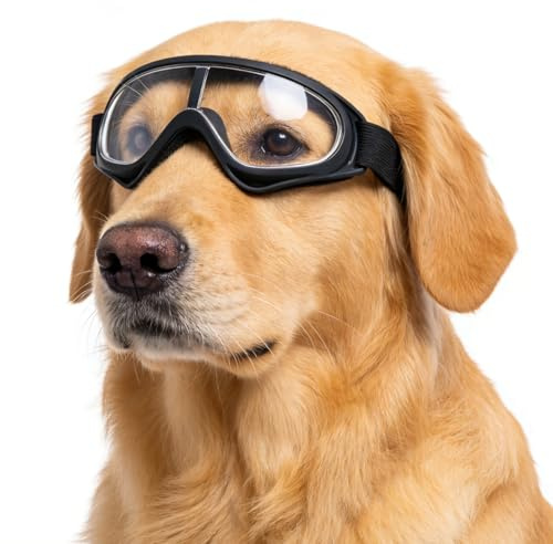Pevlkawr Lunette Pour Chien, Protection Chiens Yeux à L'ExtéRieur, RéSistant Au Vent Et à La Poussière, Réglable Lunettes De Vélo Moto, Convient Pour L'extérieur
