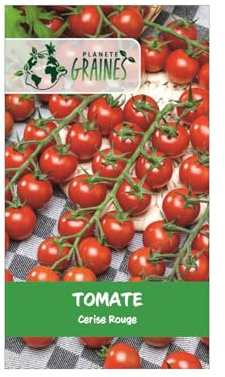 35 graines de tomate cerise rouge - tomato solanum lycopersicum - Cultivez Vos Apéros !