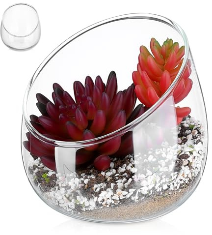 Glass Slant Cut Terrarium Vase for Succulents and Moss | Container, Desktop Micro Landscape Use, Simple Elegant Shape for Home Centrepieces and Bookshelves