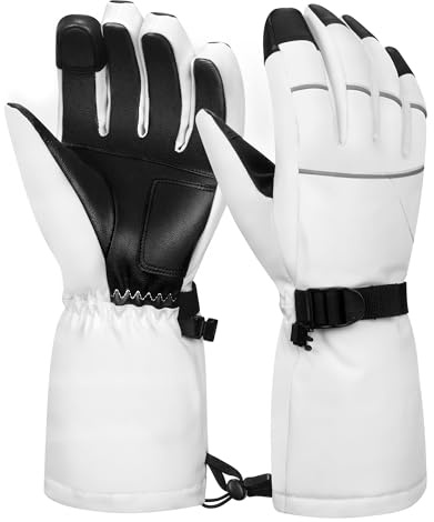 BLUEVER Guantes de esquí, Guantes de Invierno Impermeables a Prueba de Viento, Guantes de esquí térmicos para Adultos con Pantalla táctil para Deportes al Aire Libre