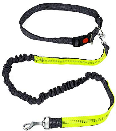 Pullach Hof Bauchgurt Joggingleine Hund Hundeleine Laufen Joggen Trainieren Wandern Leine Outdoor Unterwegs