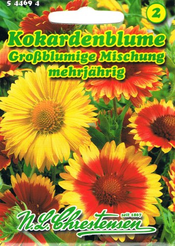 Kokardenblume Großblumige Mischung 'Gaillardia aristata' mehrjährig Staude