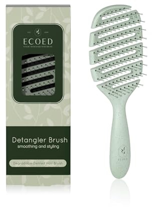 Ecoed Detangler Hairbrush, Soft Bristle Detangling Brush for Straight, Wavy, Curly and Fine Hair, Dry and Wet, Quick Smoothing for Women and Men, Eco-Friendly & Sustainable Material (Green)