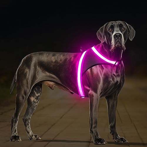 ChalkLit LED Leuchtendes Hundegeschirr USB Wiederaufladbares Vollständig Beleuchtetes Hundegeschirr Leuchtet Im Dunkeln für Nachtspaziergänge Sicherheitsweste, mittelgroße große Hunde (Rosa, L)