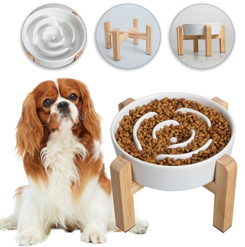 Ciotola Cane Anti Ingozzamento Rialzata Con Supporto in Bambù - Ceramica Anti Vomito per Mangiare Lento - Adatta per Cani di Piccola e Media Taglia - Bianco - 17 cm